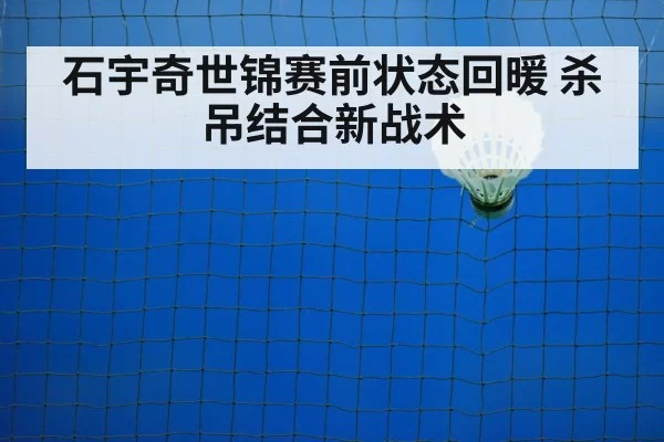 badminton training court