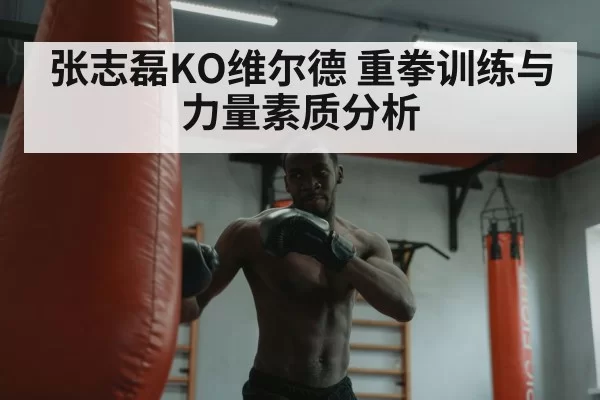 张志磊KO维尔德 重拳训练与力量素质分析