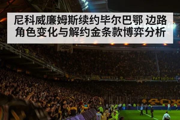 football stadium night crowd